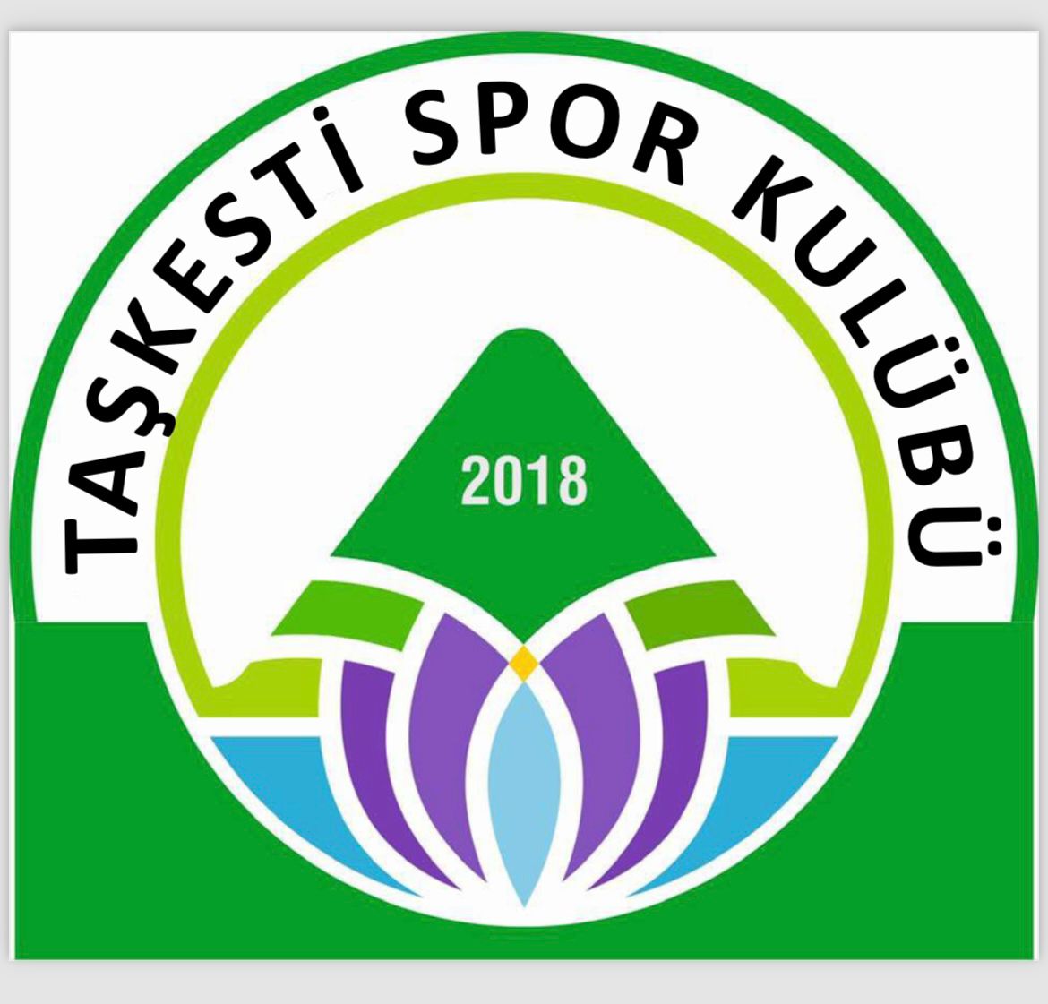 TAŞKESTİSPOR